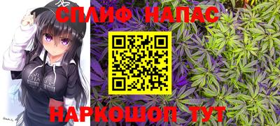 кокс Гай