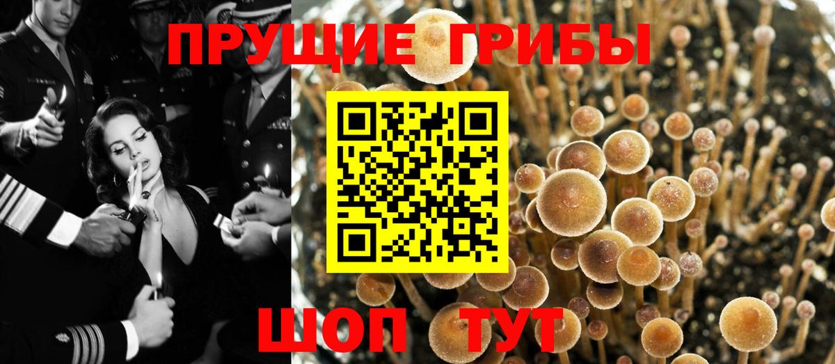 Псилоцибиновые грибы ЛСД  Вход с VPN  Электросталь 